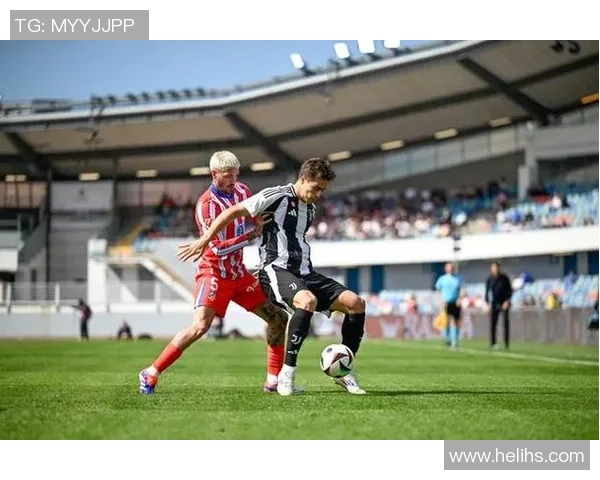 足球瑞典那的魅力与挑战探索瑞典足球的历史与未来发展之路